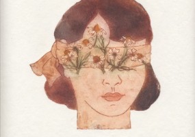 camomille 1